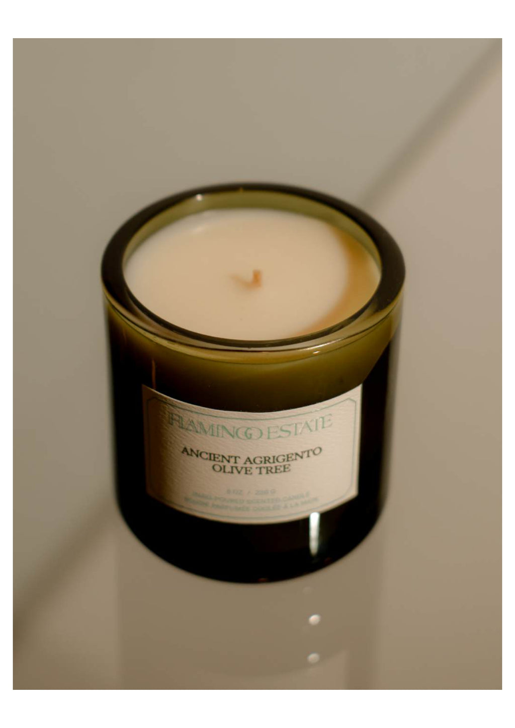 Ancient Agrigento Olive Tree Candle