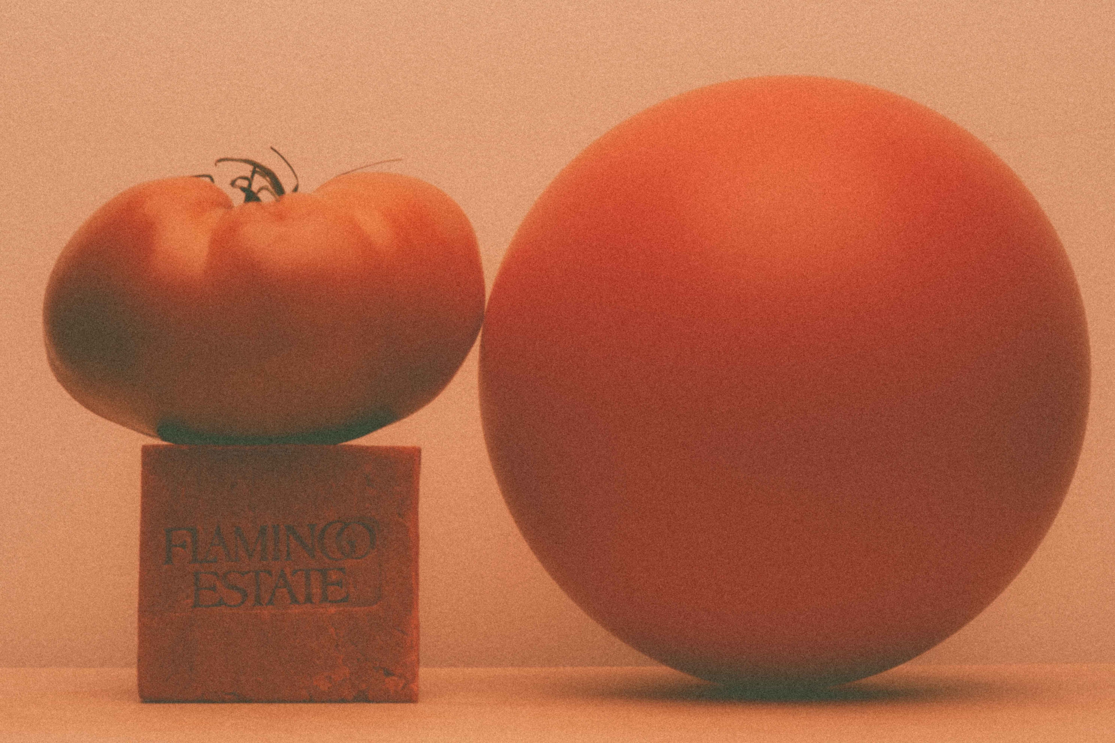 Roma Heirloom Tomato Soap Bar